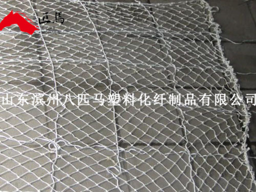 安全平網(wǎng)
