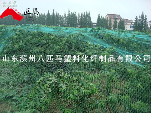 防鳥(niǎo)網(wǎng)