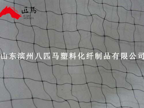 防鳥(niǎo)網(wǎng)